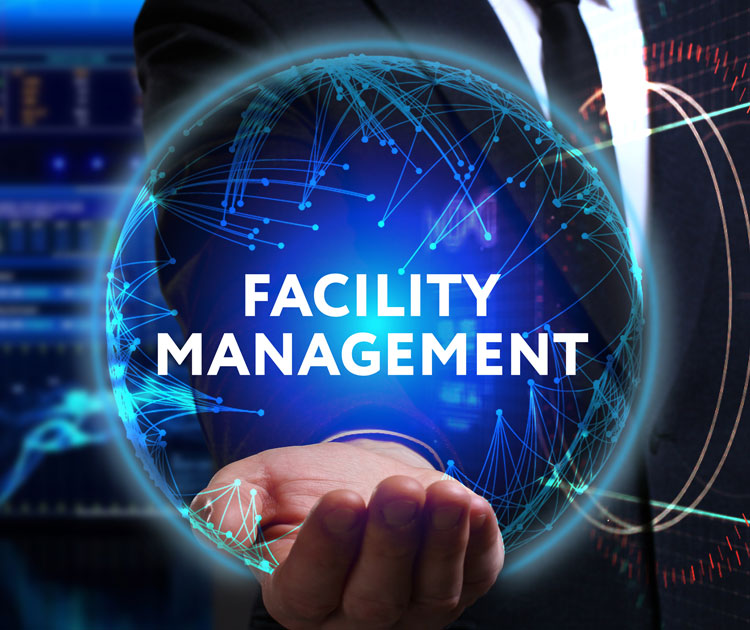 IT Management